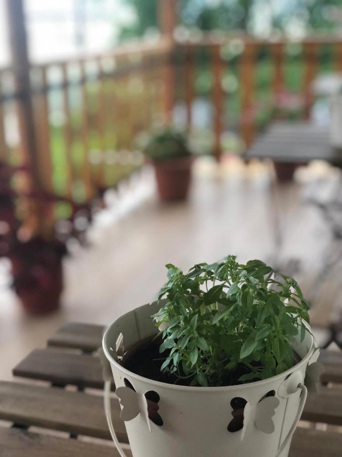 Villa Muzhaqi Nivice Екстериор снимка