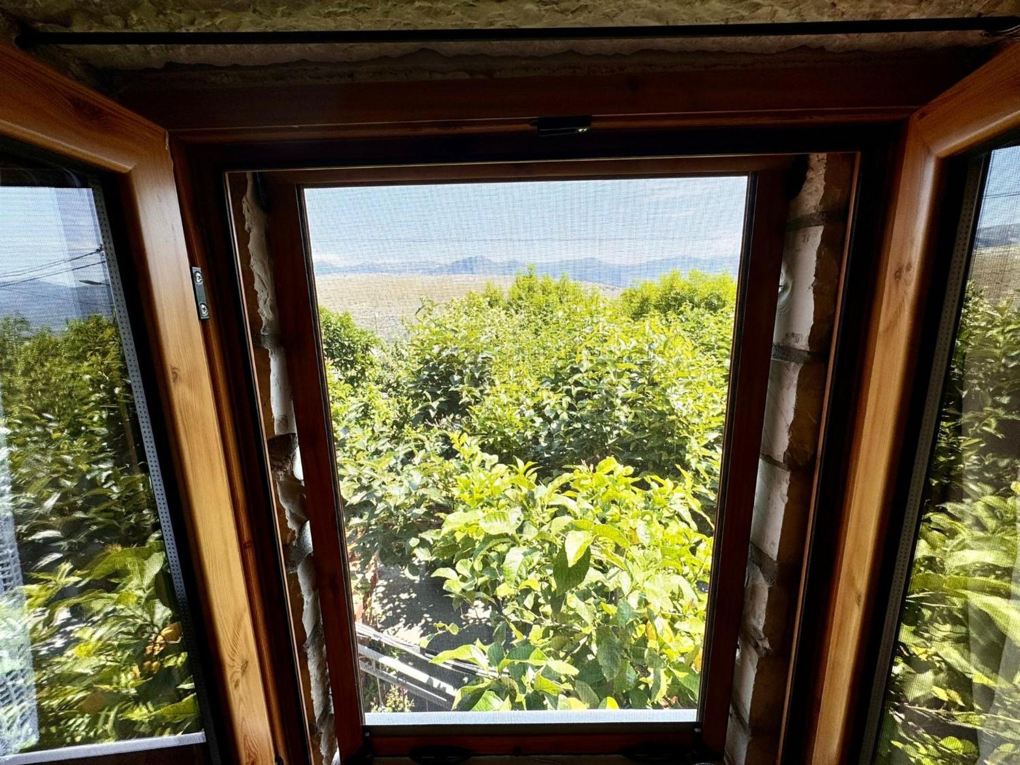 Villa Muzhaqi Nivice Екстериор снимка